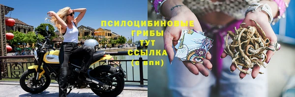 таблы Вяземский