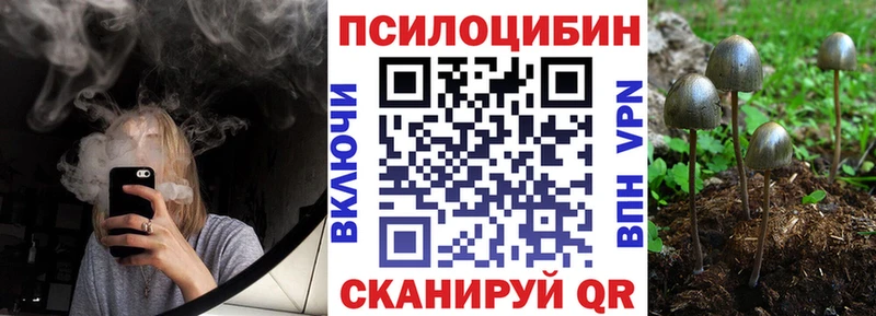 Галлюциногенные грибы Psilocybine cubensis  как найти наркотики  Димитровград 