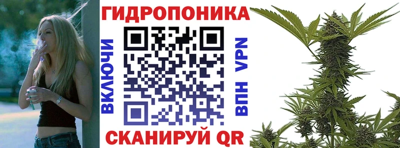 где купить наркоту Димитровград Каннабис конопля